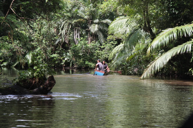 Nicaragua - 10024 - Jungle River Adventure - Solentiname Kayaking