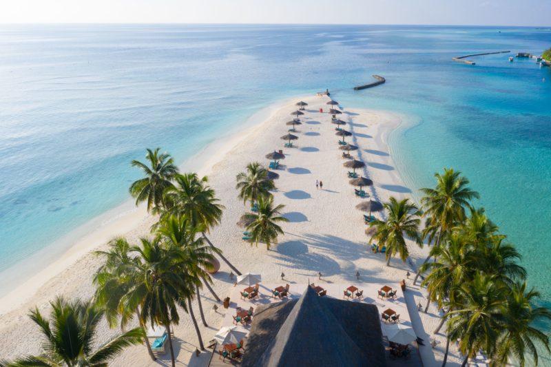 Maldives - North Ari Atoll - 1567 - Veligandu Island Resort - Sun loungers beach point