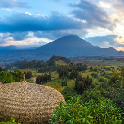 Gorilla Trekking Safari in Bisate