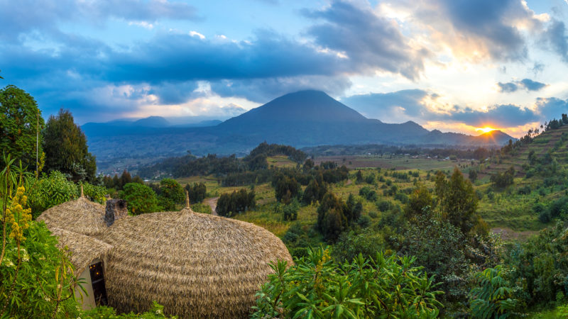 Rwanda - Volcanoes National Park - 1568 - Bisate Lodge