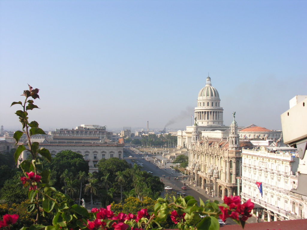 Havana - Capitolio, Park, Cuban, Flora, Occidental Region