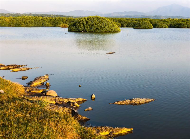 Dominican Republic - Crocodile Lake