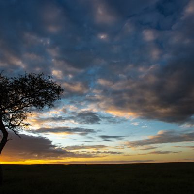 Kenya: Exclusive Safari Adventure