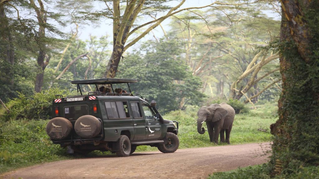 andBeyond Ngorongoro Crater Lodge - Game Drive