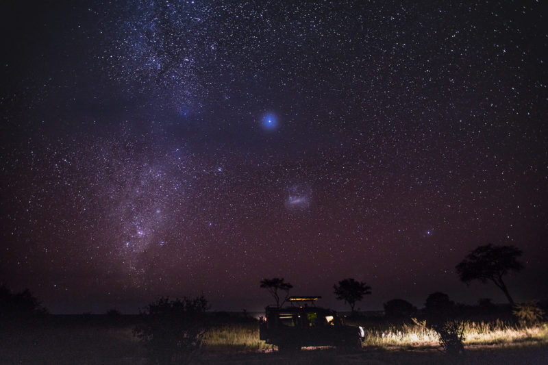 Elewana Tarangire Treetops - Star Gazing