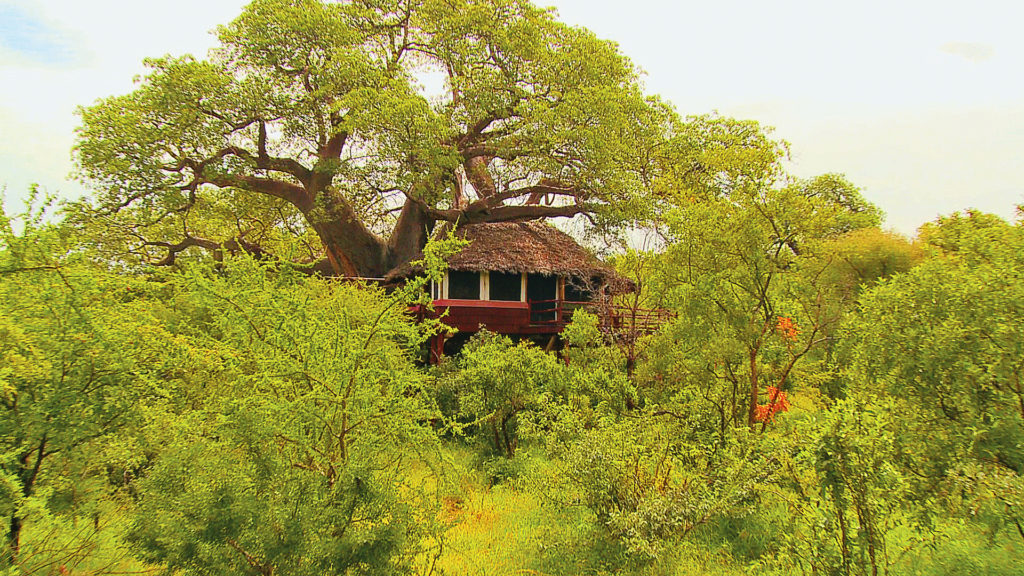 Elewana Tarangire Treetops - Tree House