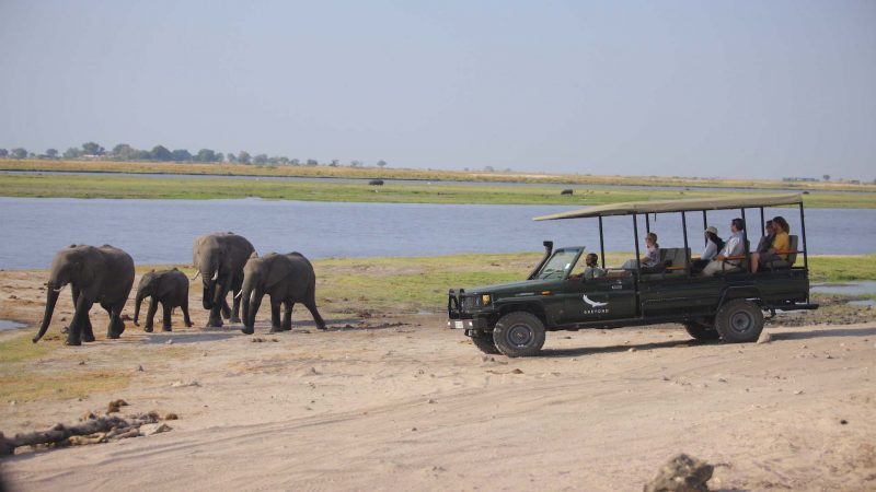 andBeyond Chobe Under Canvas - Game Drive