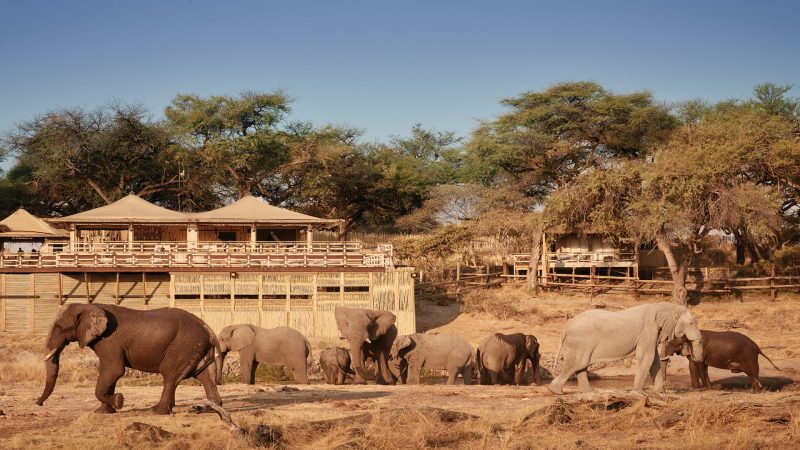 Belmond Savute Elephant Lodge - Exterior View