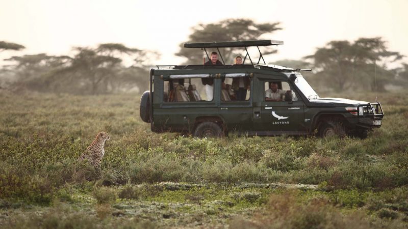 andBeyond Serengeti Under Canvas - Game Drive