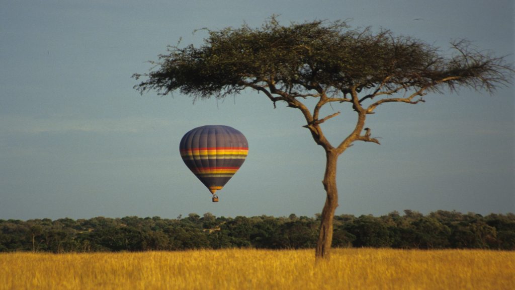 Mara Bushtops - Hot Air Balloon