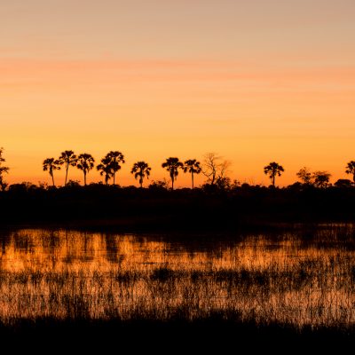 Luxury Highlights of Botswana featuring Victoria Falls