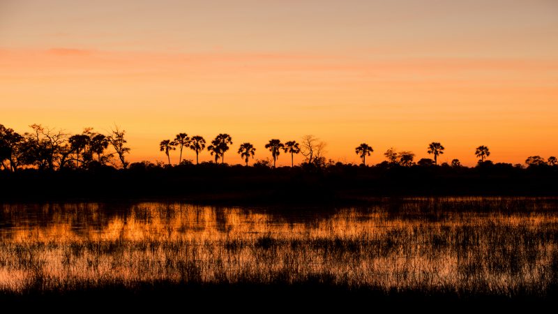 andBeyond Nxabega Okavango Tented Camp - Sunset