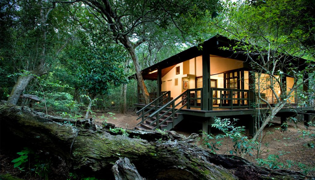 andBeyond Phinda Private Game Reserve - Forest Lodge - Exterior View
