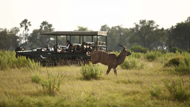 andBeyond Nxabega Okavango Tented Camp - Private Game Drive