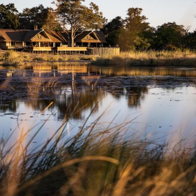 safari botswana zambia zimbabwe