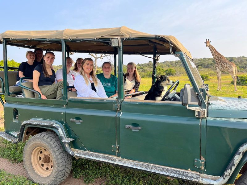South African Safari Gap Year