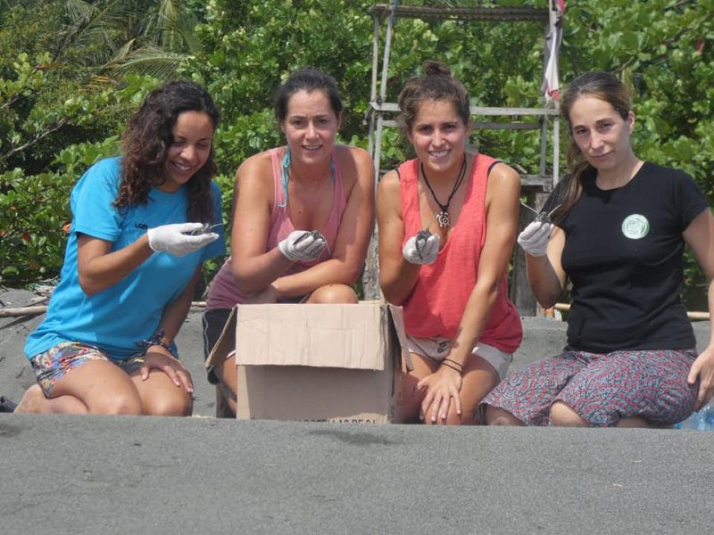 Group of women working with baby turtles Costa Rica