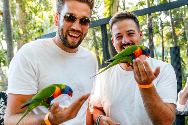 Two young men holding rainbow lorikeets in Australia